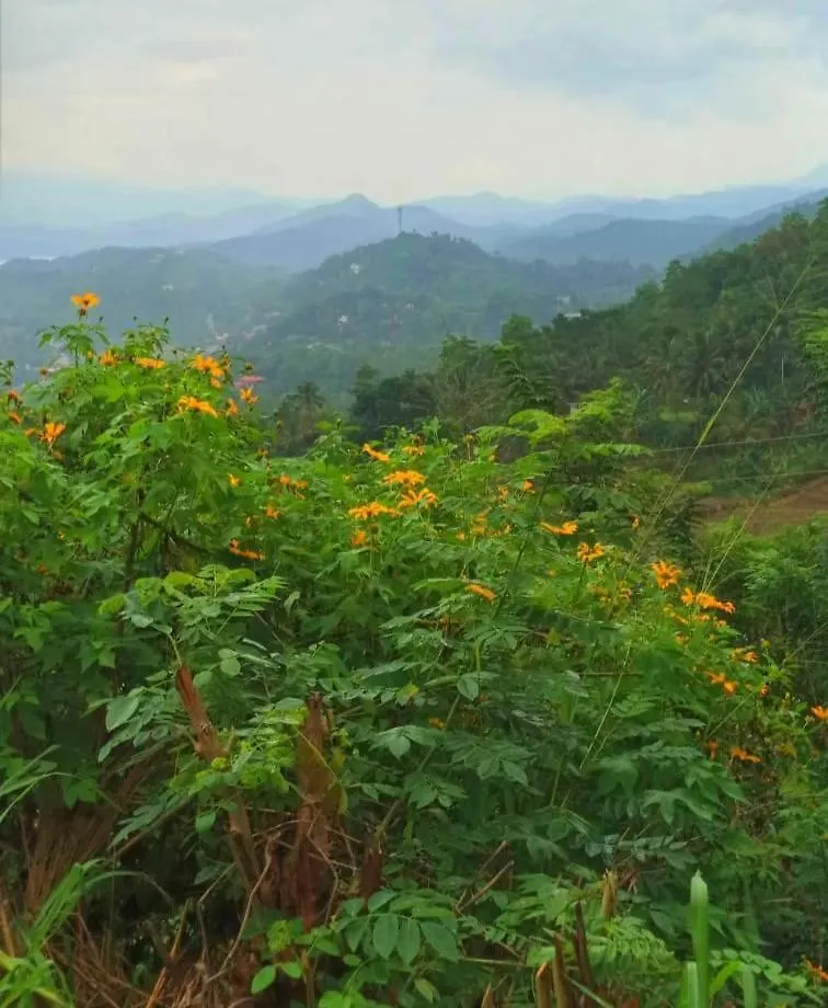 Kandy Ivy Mountain View Resort Sri Lanka