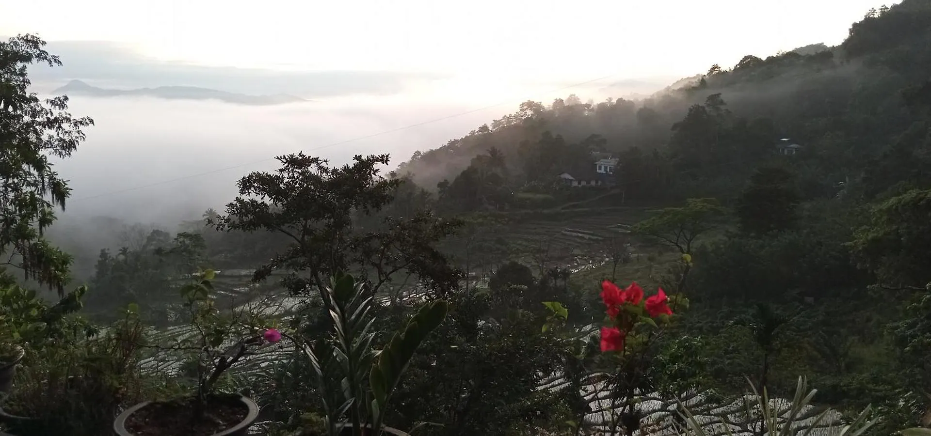 Kandy Ivy Mountain View Resort